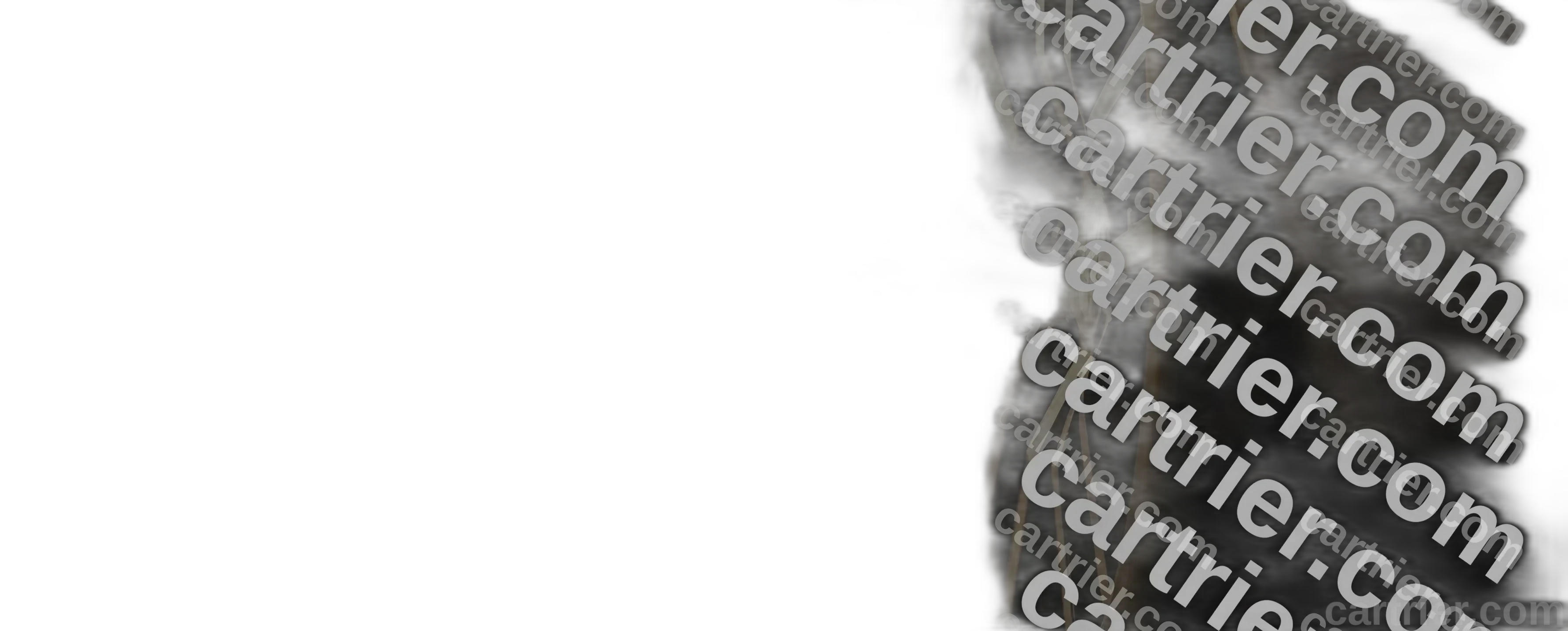 Radial OTR Tires E4 GCA8