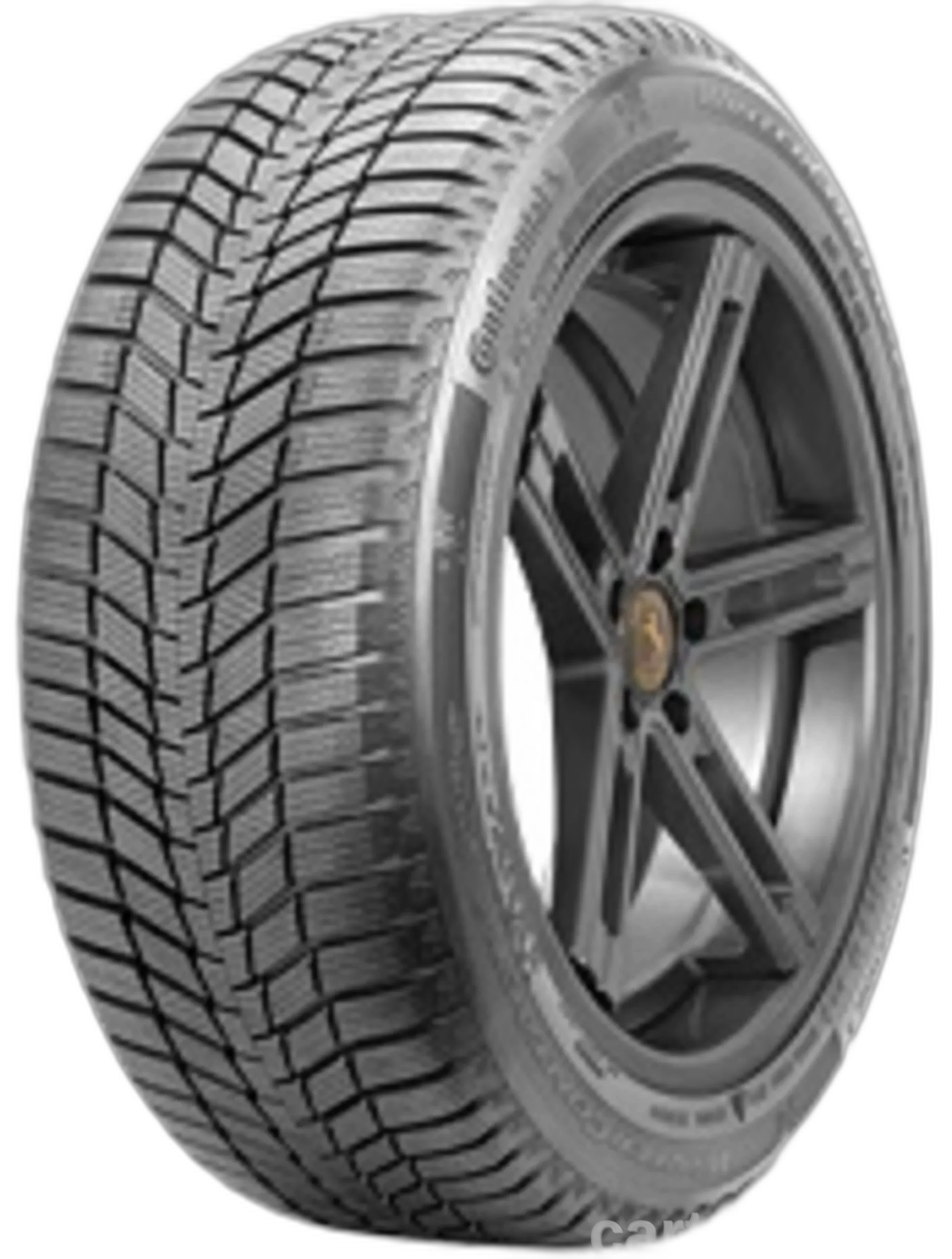 Conti Winter Contact