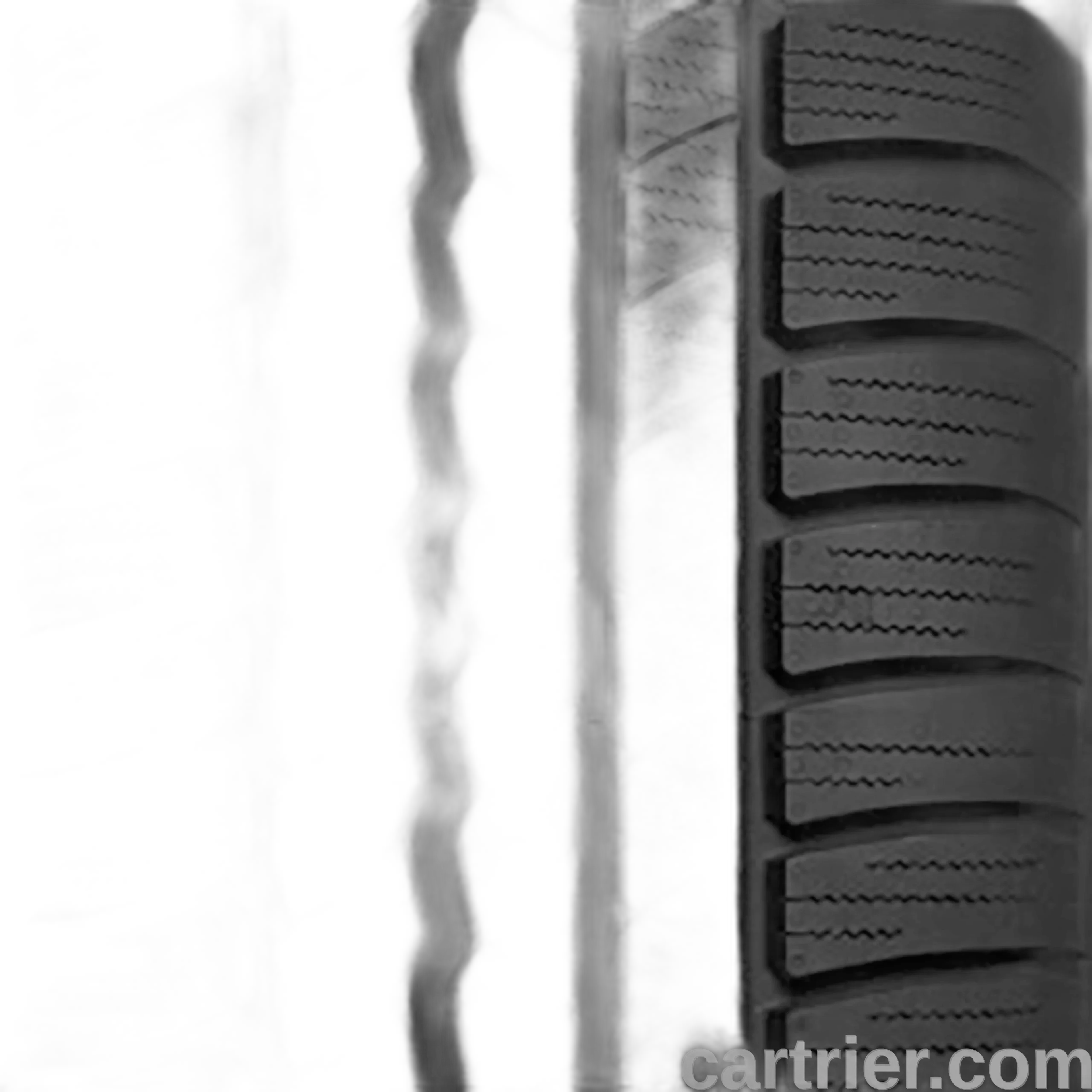 ContiWinterContact TS790