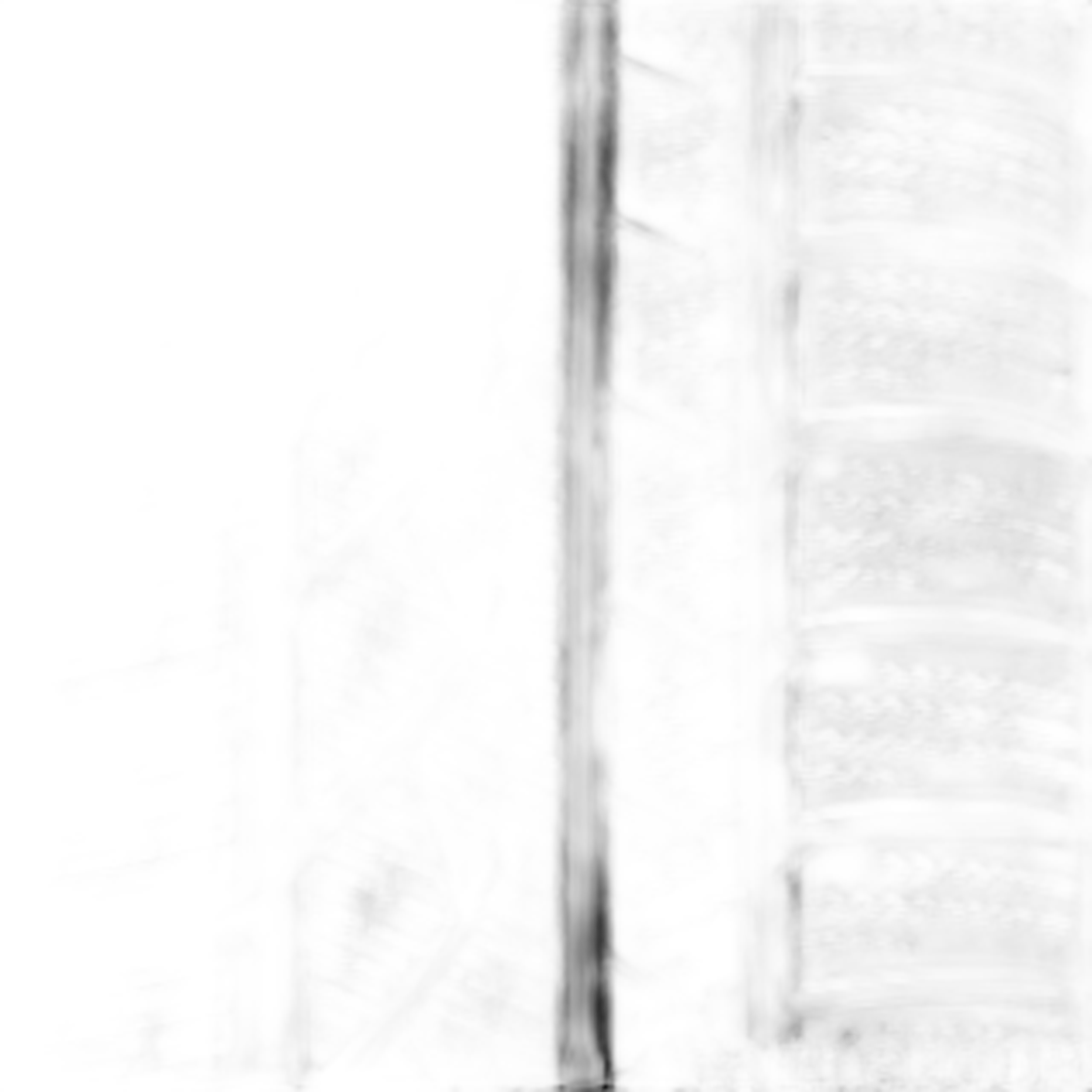 ContiWinterContact TS810