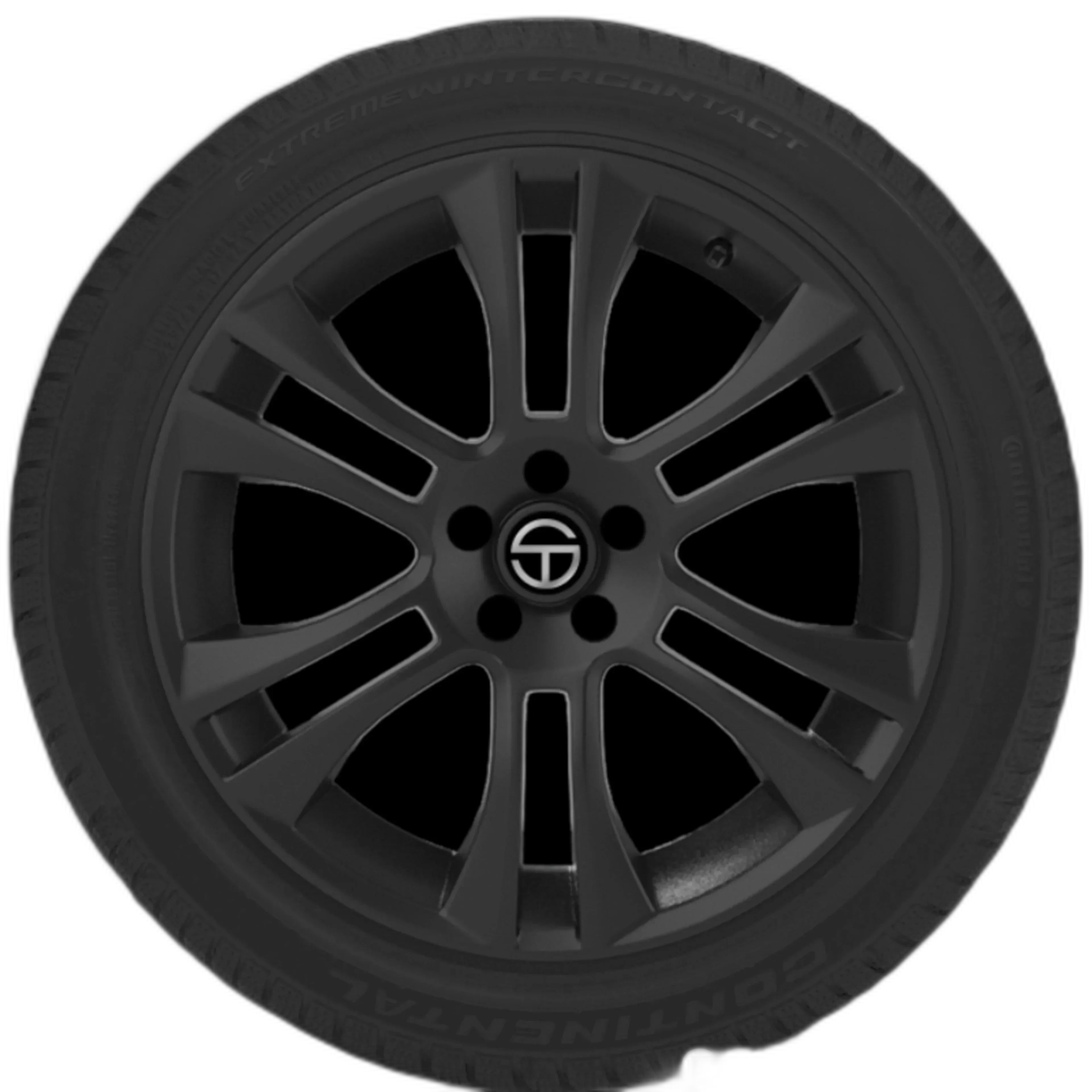 ExtremeWinterContact