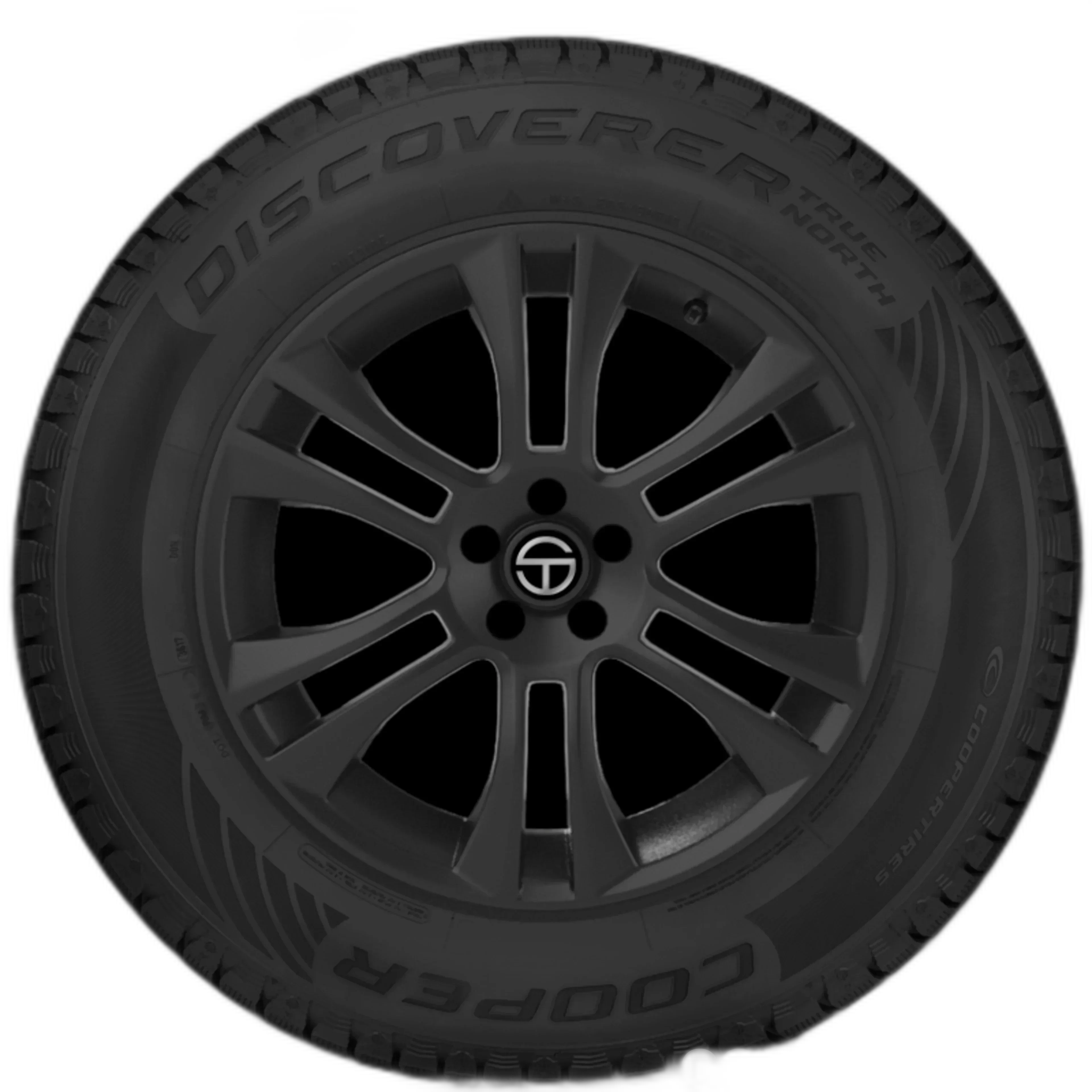 Discoverer True North