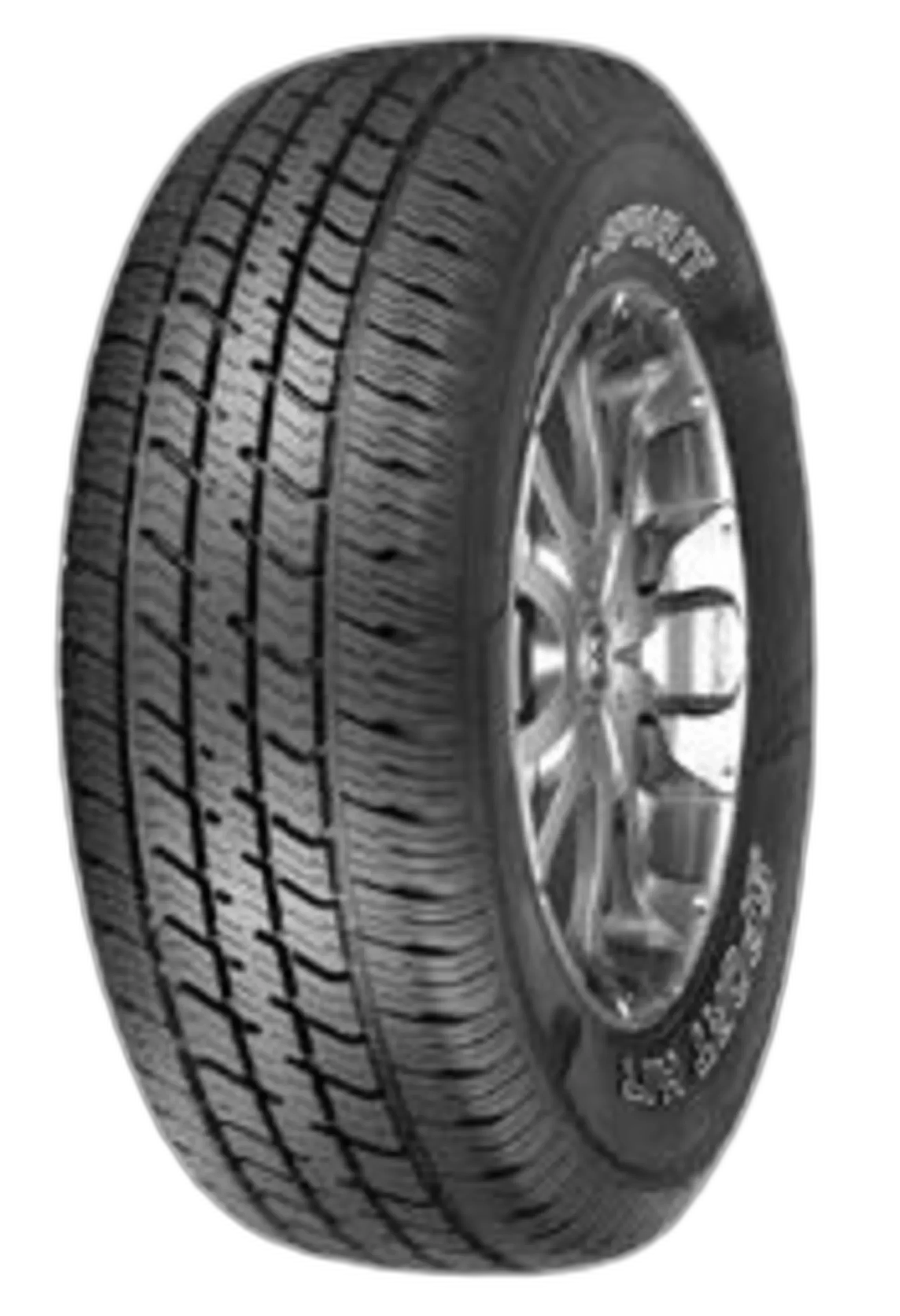 Wild Spirit Sport H/T