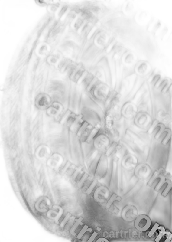 Sincera Touring SN211