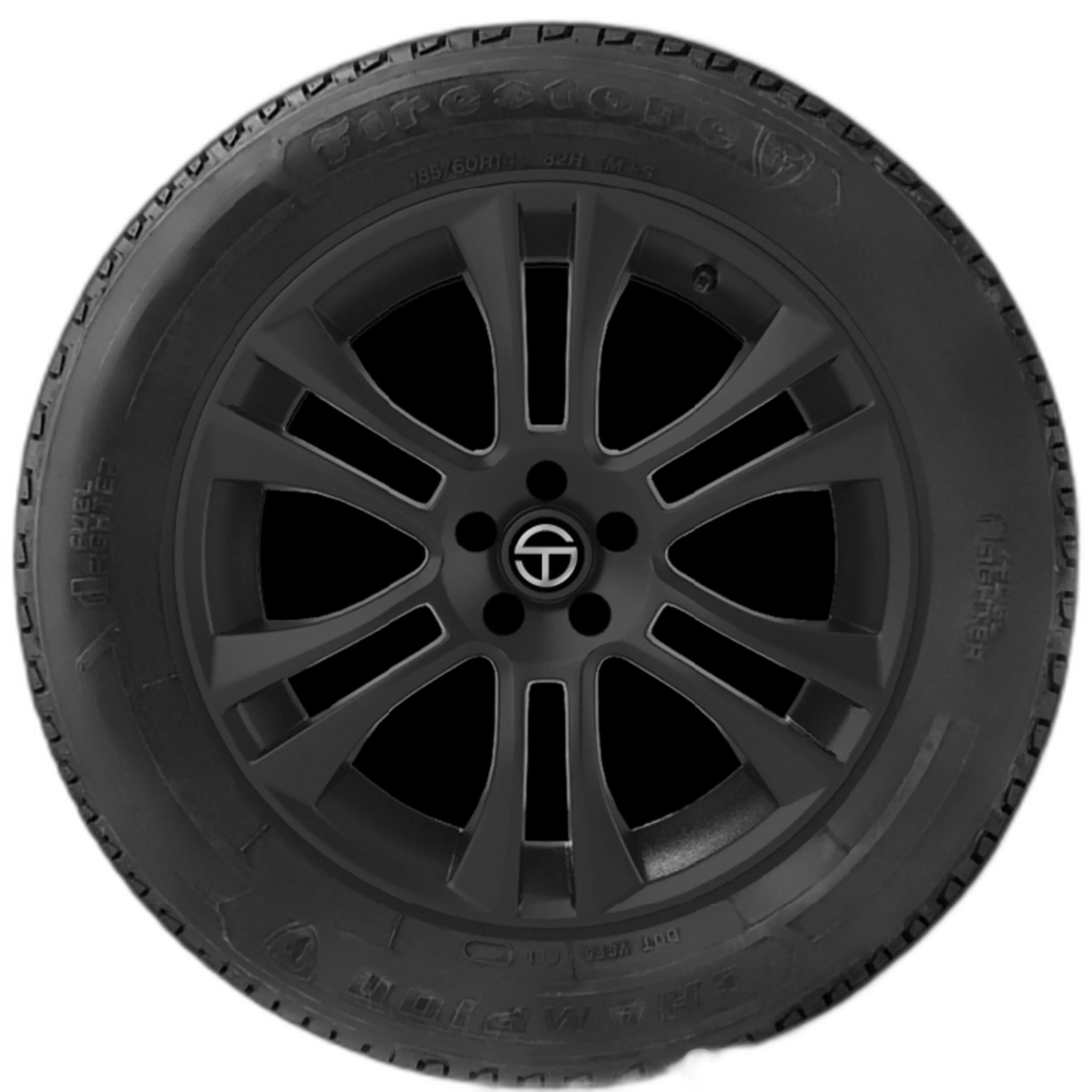 Champion Fuel Fighter