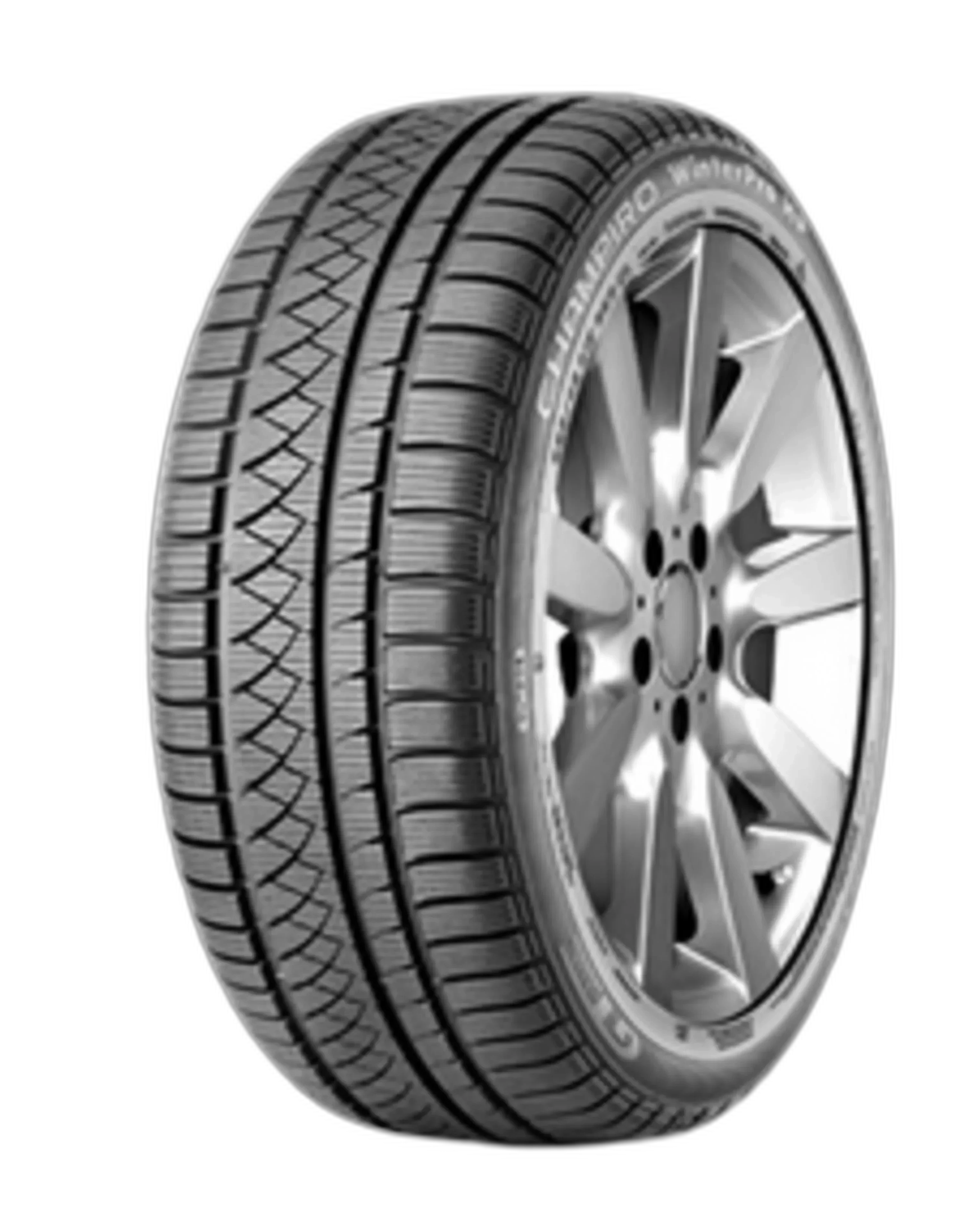 Champiro Winterpro HP