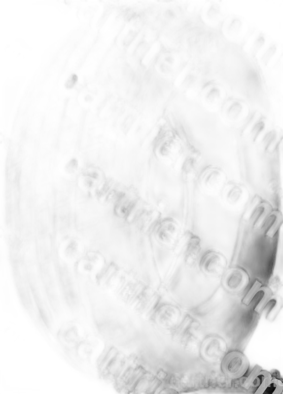 Winter i*pike (W409)