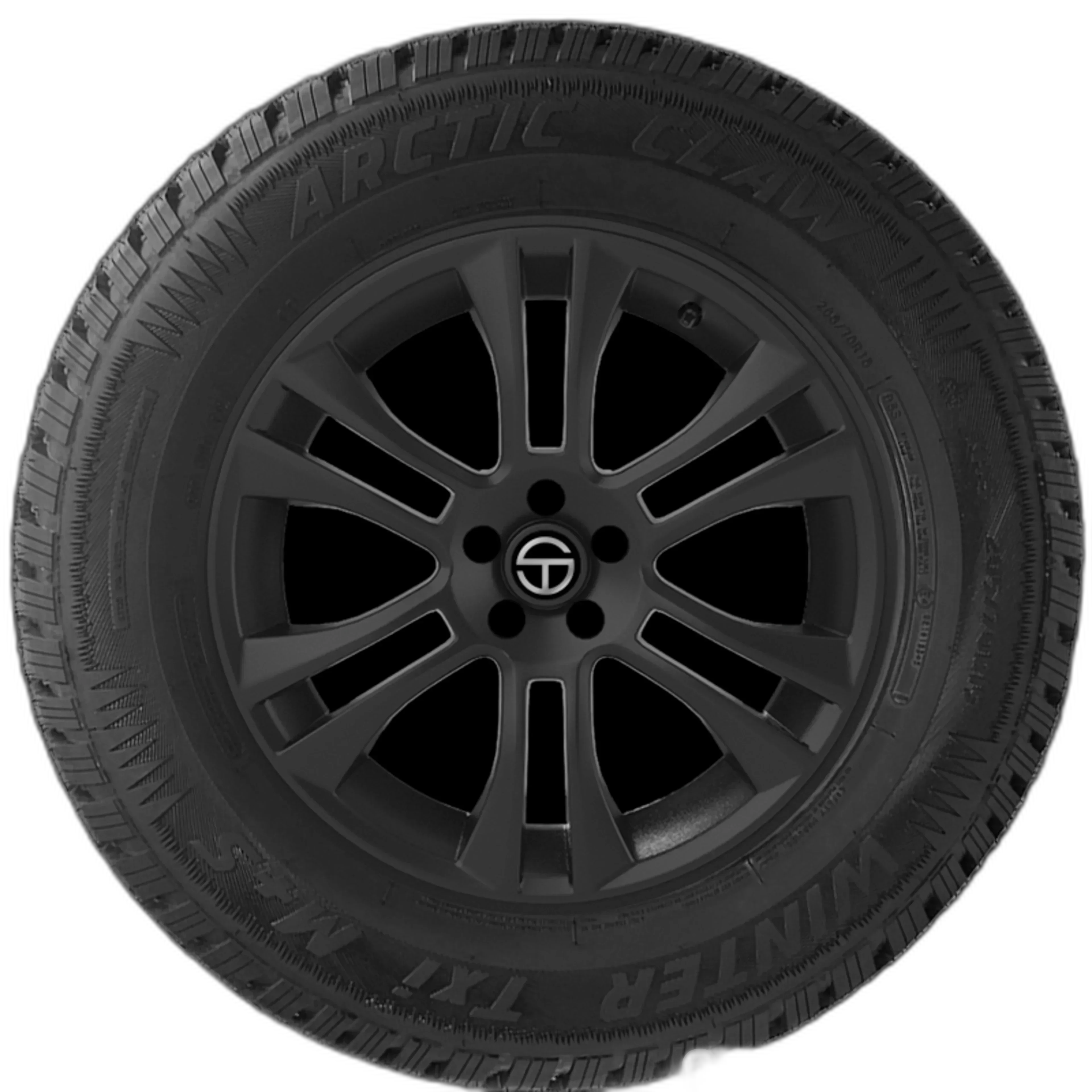 Winter Quest Passenger