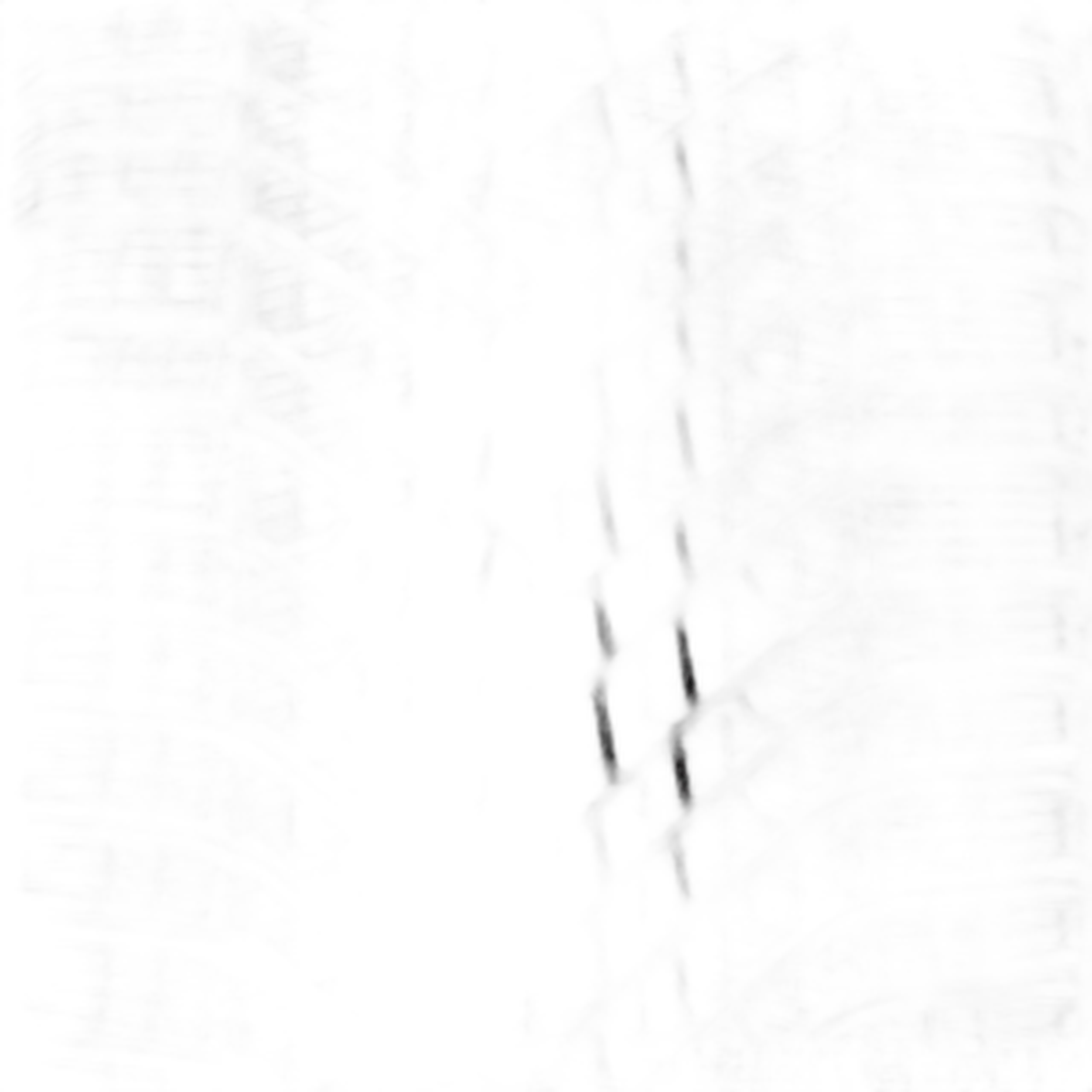 Scorpion Winter 2 Elect