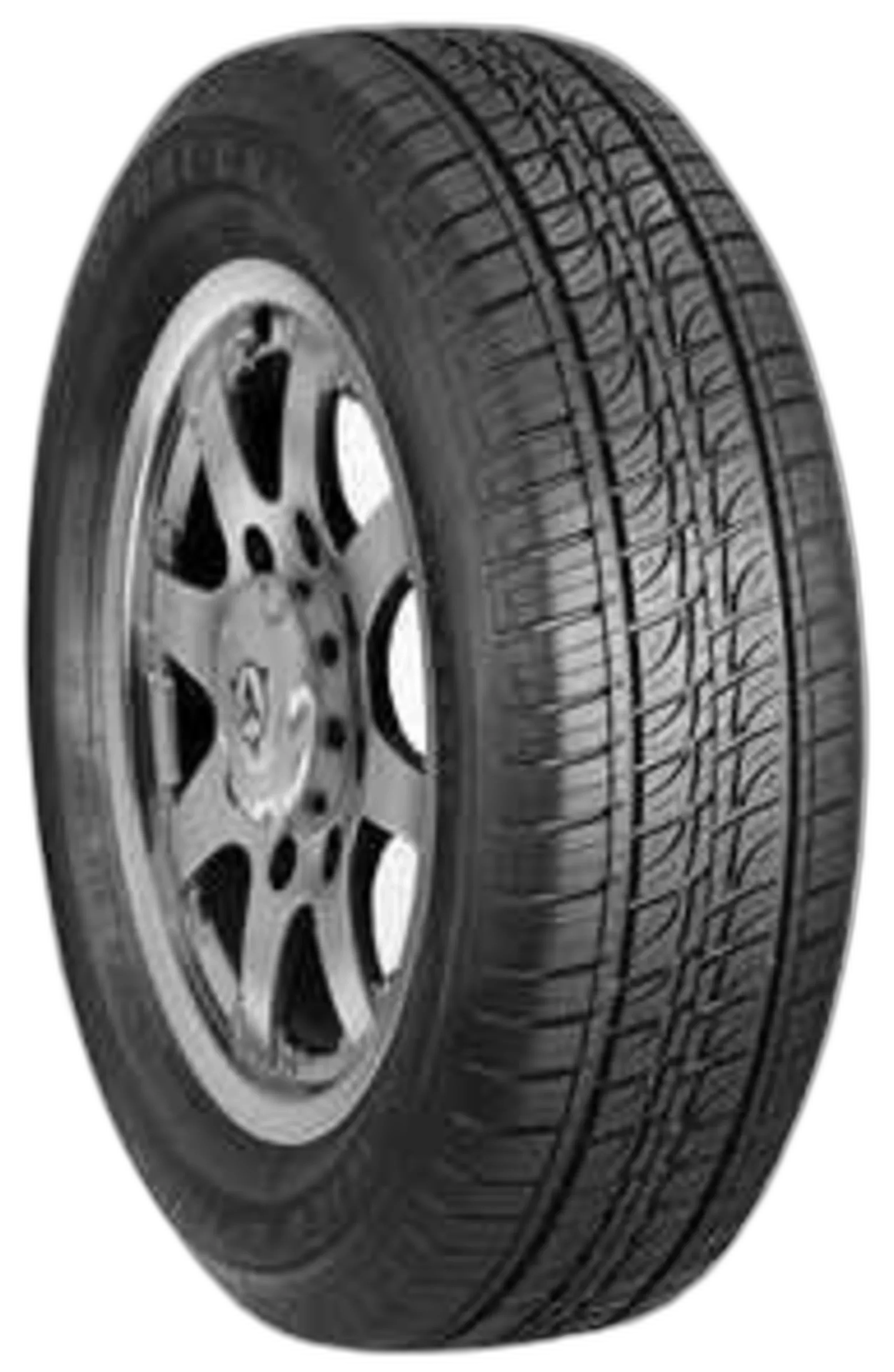 Wild Spirit CXV Sport