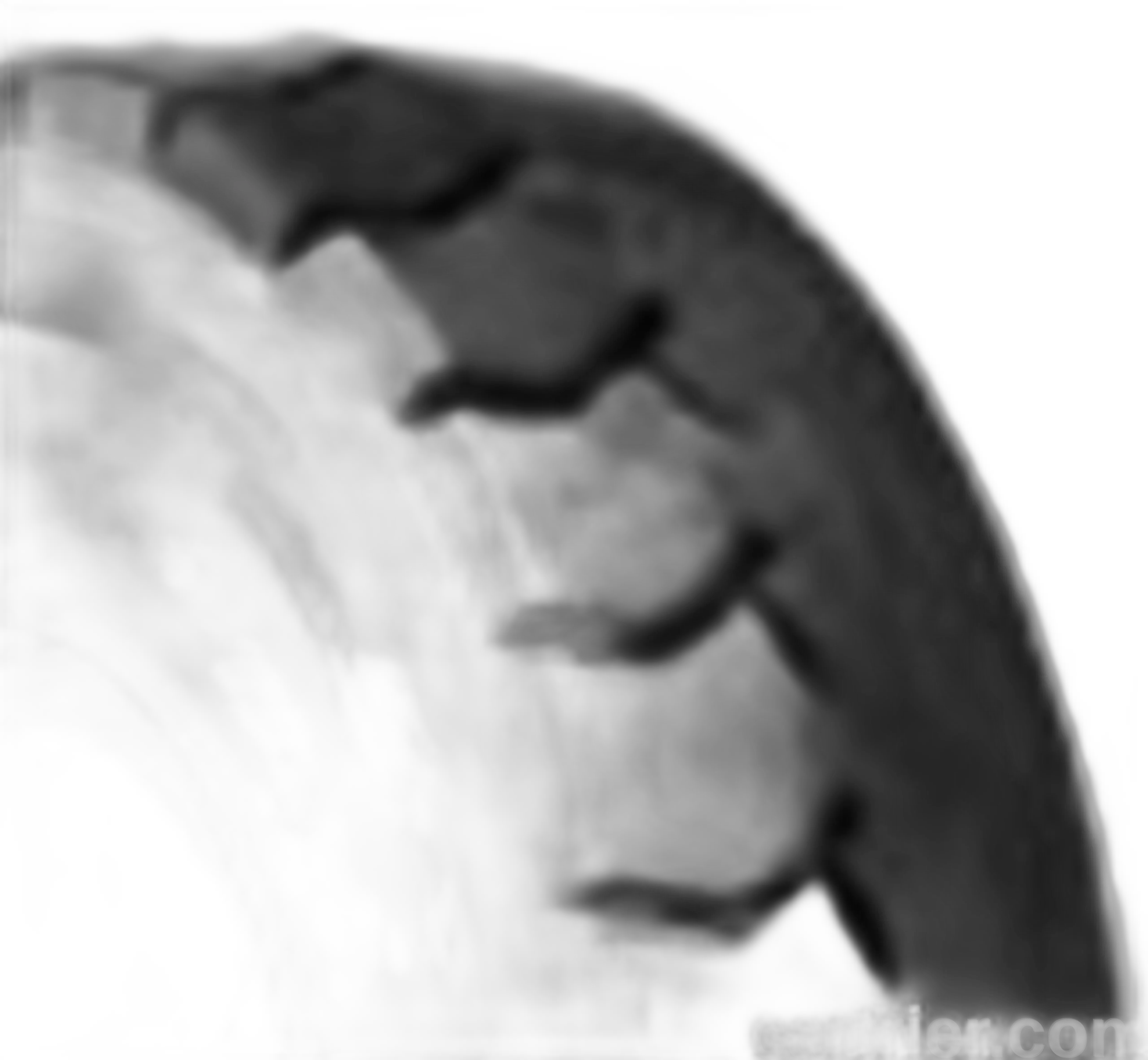 Hauler Halftrac Pneumatic