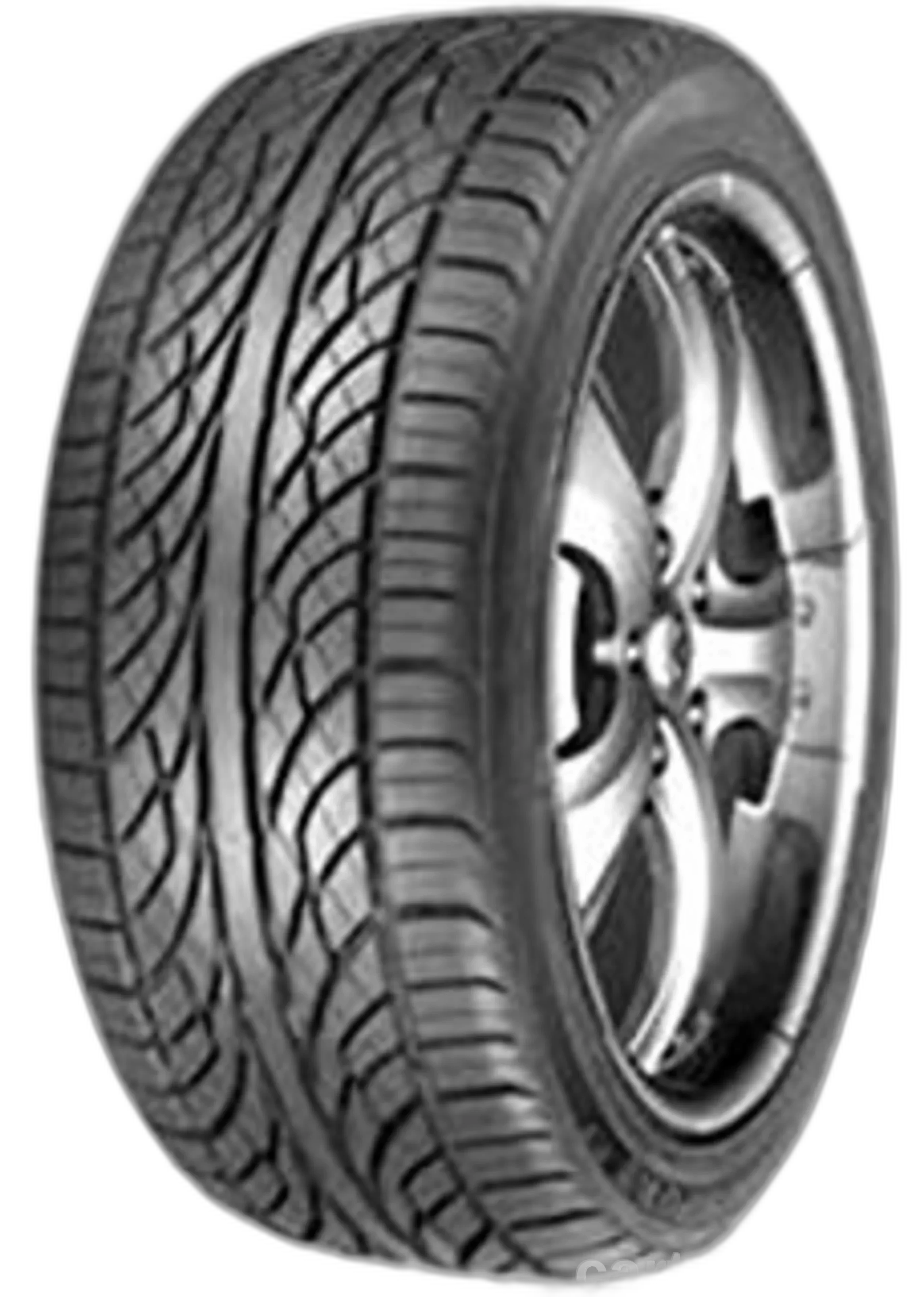 Wild Spirit Sport H/T