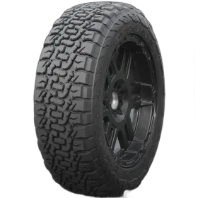 Accelera Omikron C/T