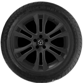 Blacklion BU66 Champoint