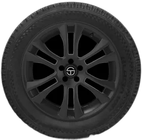 Blacklion Voracio H/T