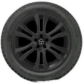 Bridgestone Blizzak DM-V1