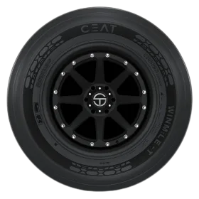 Ceat Winmile-T