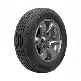 Dunlop Grandtrek PT30