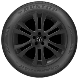 Dunlop Grandtrek PT5A