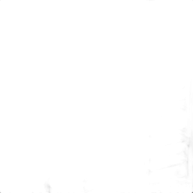 Dunlop SP Sport 5000 DSST