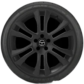 Dunlop Sport Maxx Race