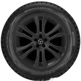 Dunlop Winter Maxx
