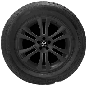 Eldorado Winter Quest Passenger