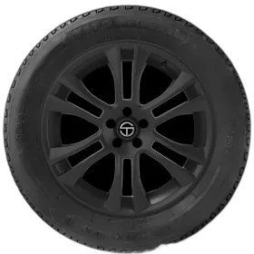 Firestone Champion Fuel Fighter