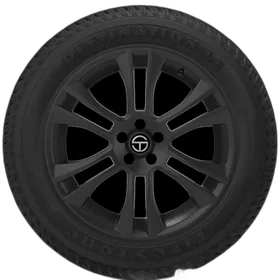 Firestone Destination LE