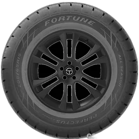 Fortune Perfectus FSR602