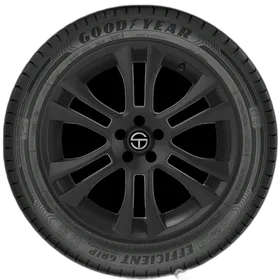 Goodyear EfficientGrip Performance