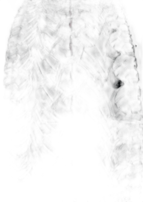 Goodyear Wrangler Adventure