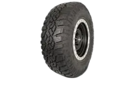 Greenball Sonny – Ingens A1