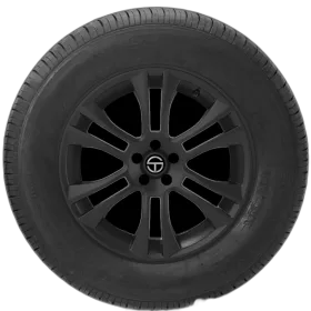 Gt Radial Champiro VP1