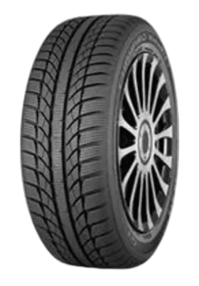 Gt Radial Champiro Winterpro