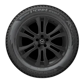 Hankook Winter i*cept evo2 (W320)
