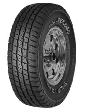 Jetzon Wild Trail All Season