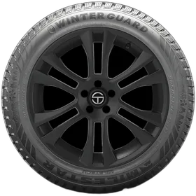 Milestar Winterguard