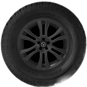 Multi-Mile Multi-Mile Wild Spirit Radial TXR II