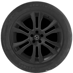 National Sentinel UN99