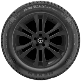 Nexen Winguard Ice Plus