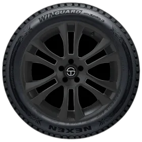 Nexen Winguard Winspike 3
