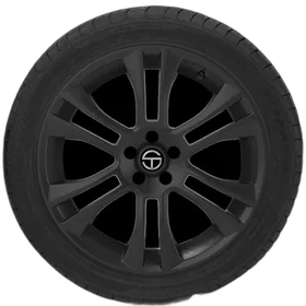 Nokian WR