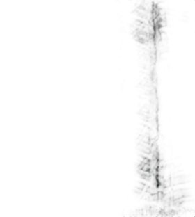 Pinnacle Aethon 4×4