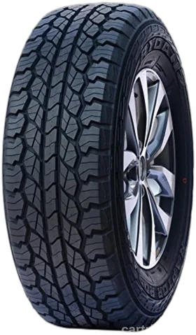 Rydanz Raptor R09 A/T