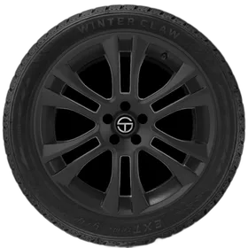 Telstar Winter Claw Extreme Grip MX