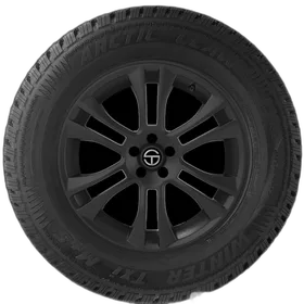 Telstar Winter Quest Passenger