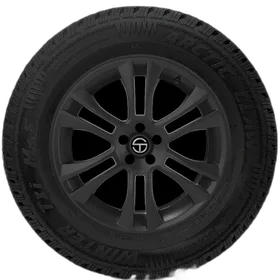 Vanderbilt Arctic Claw Winter TXI