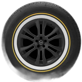 Vogue Custom Built Radial VII