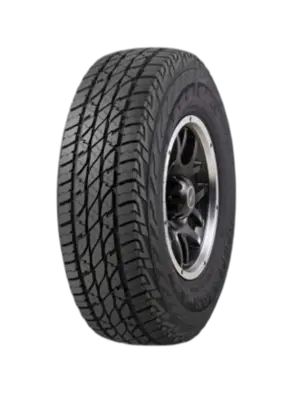 Accelera Omikron A/T